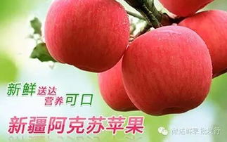 微送水果工廠店12家門店同慶盛典 每日供應依舊秒光，水果為何至此搶購大戰？