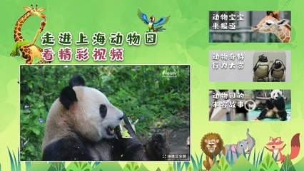 解鎖六一特別陪伴模式 中國互聯網電視帶您云游上海動物園，探秘動物飼養
